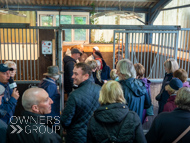 WG031025-93 - Vibrating floor stall